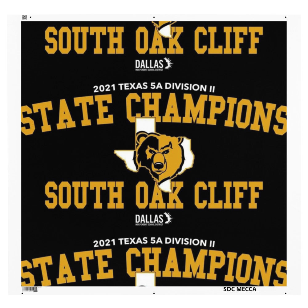 Blanket State Champ 1 Polyester Blanket