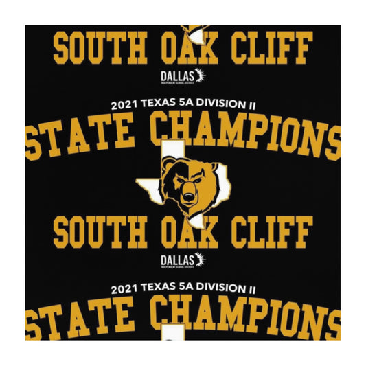 Blanket State Champ 1 Polyester Blanket